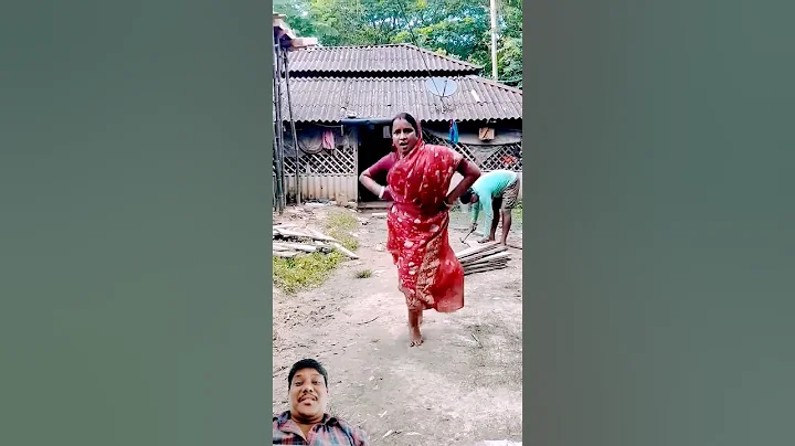 Video 11109881: cat funny dance animal