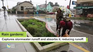 Green Infrastructure