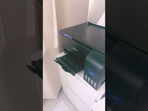 Принтер EPSON L 3101 не печатает
