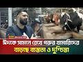 ঈদকে সামনে রেখে গরুর খামারিদের বাড়ছে ব্যস্ততা ও দুশ্চিন্তা | ATN Bangla News