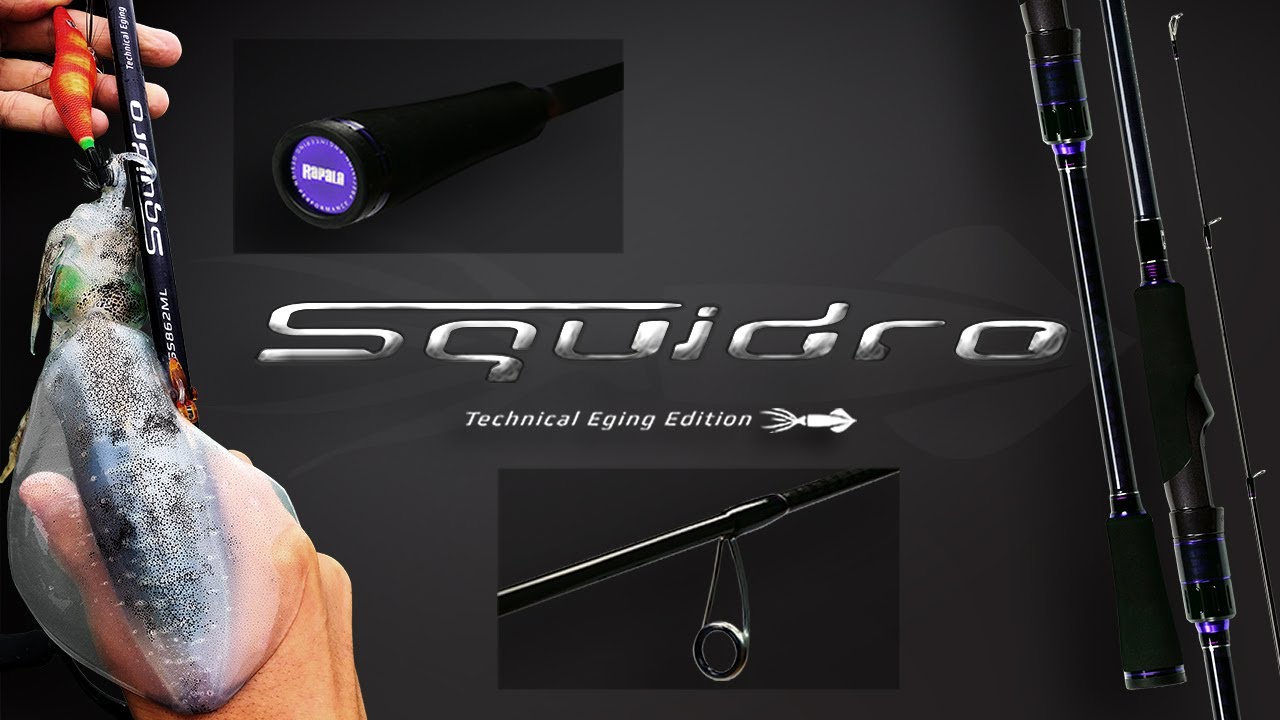 NEW Rapala Squidro Rod - Technical Eging Edition 