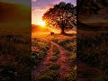 Start Your Day with Positivity 🌄 | Unfiltered Debu #shorts #ytshorts #trendingshorts