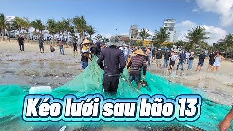Ngư dân đà nẵng rủ nhau kéo lưới sau bão số 13