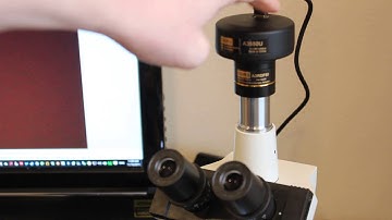 OMAX 40X-2000X Digital Lab Trinocular Compound LED Microscope