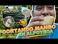 Video de Alpoyeca