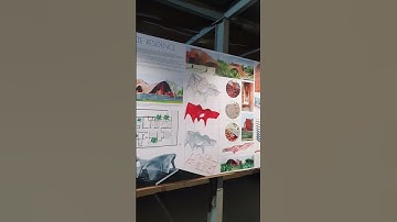 Day in my life as an architecture student #architecturestudent #dayinmylife #architecturecollege