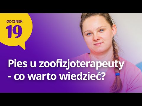 Wideo: Pomóż Zwierzętom Wrócić Do Zdrowia Dzięki Fizjoterapii (rehabilitacja Zwierząt)