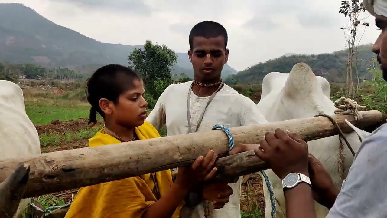 వ్యవసాయం ప్రారంభం