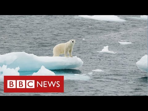 The Largest Climate Summit in Years Just Started in Glasgow. Here’s What to Expect