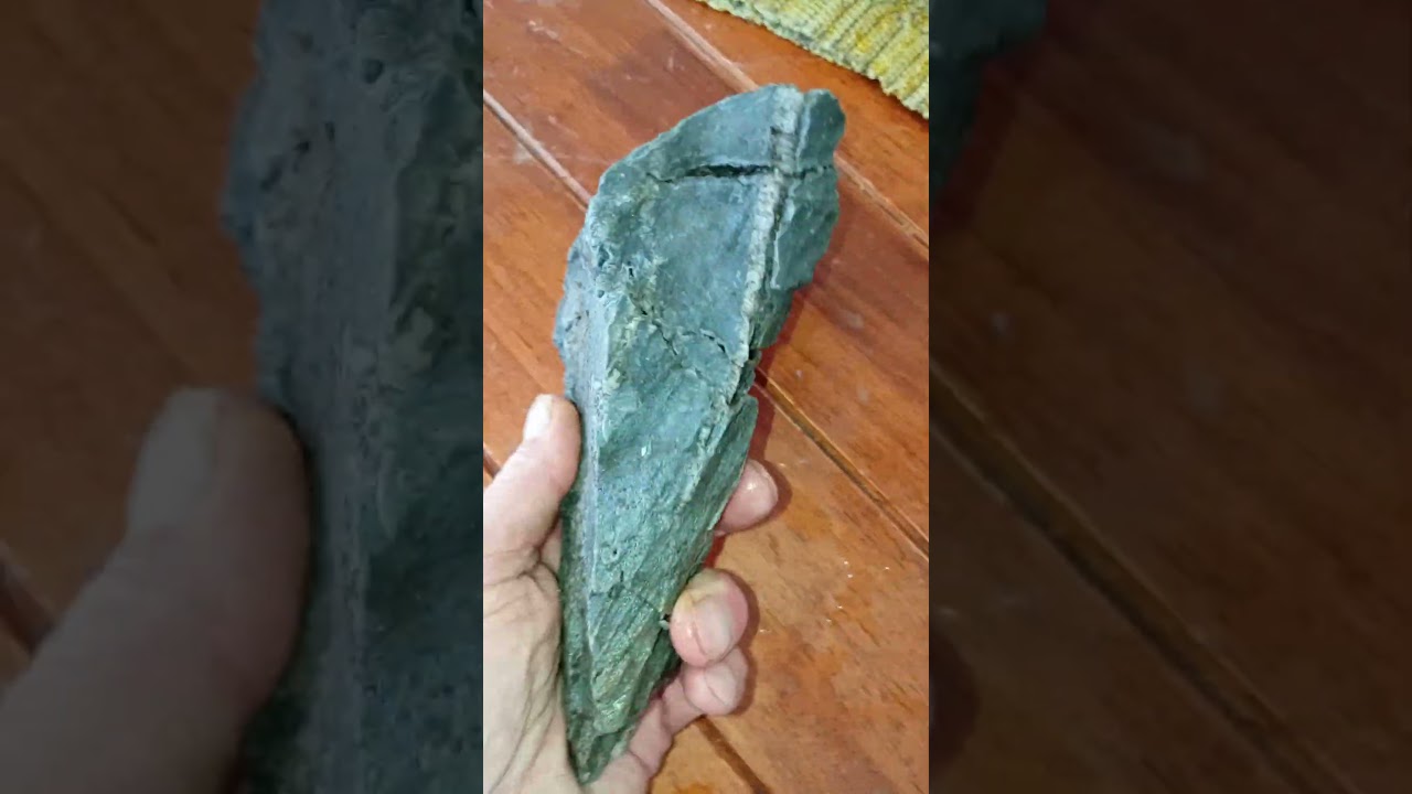 Нетронутый образец окаменелости из грязи