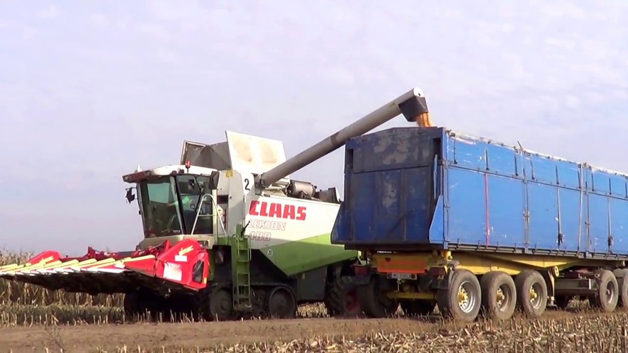 Podsumowanie Sezonu 2013 w 2014 ☆ WorguleFarm