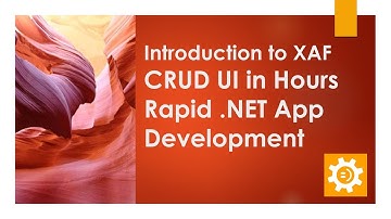 Desktop & Web Business Apps in Hours. DevExpress XAF Introduction (Cross-Platform .NET App UI)