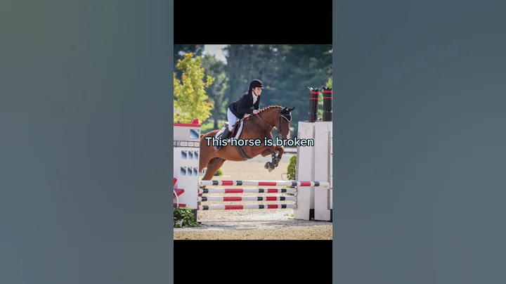 Let’s confuse the non equestrians