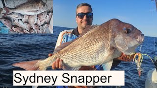Secret Snapper Fishing | Sydney Snapper | with Inchiku Jigs | Soft plastics| 81 cm Snapper|Stella FK