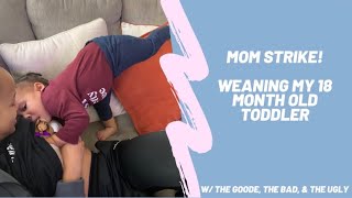 Mom Strike | Weaning My 18 month Old Toddler from Breastfeeding