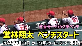 堂林翔太 この試合はベンチスタート。背番号一桁の選手、2軍ベンチには