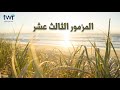 المزمور ١٣ المزمور ١٣