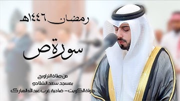 سورة ص ( تراويح رمضان 1446هـ ) - شايع التميمي