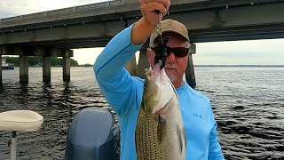 CATCH AND COOK STRIPED BASS ON THE SHORE  SHORE LUNCH