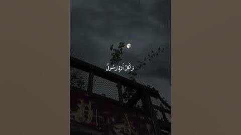 أفأنت تهدي العمي ولو كانو لايبصرون | القآرئ عبدالرحمن مسعد سوره يونس