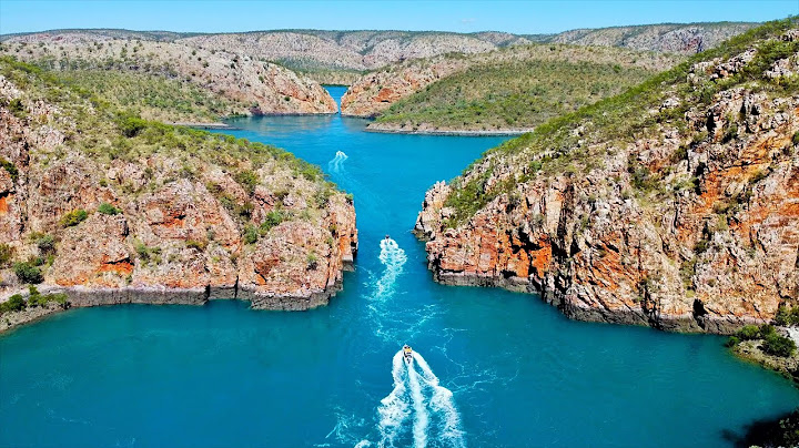 #4 TIGER SHARKS CROCODILES BARRAMUNDI The Kimberley