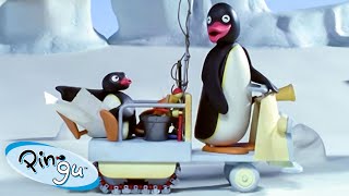 Like Father, Like Pingu Pingu - Official Channel Cartoons For Kids