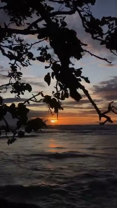 VIDEO STORY WA | MENTAHAN video sunset
