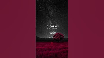 ماتيسر من سورة النحل | الشيخ علي جابر تلاوة خاشعة |#السعودية #القرآن_الكريم #world