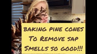 Easy hack to remove sap from pine cones!