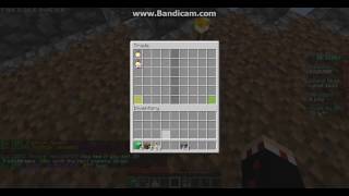 Skyblock Trade Plugin Bug