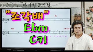 [대금가요공부방] 이선희 "조각배" Ebm C키