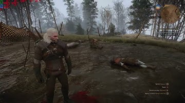 The Witcher 3 Next-Gen RTX 3080 12gb  4K  Max Settings DLSS/Ray tracing and without DLSS/Ray Tracing