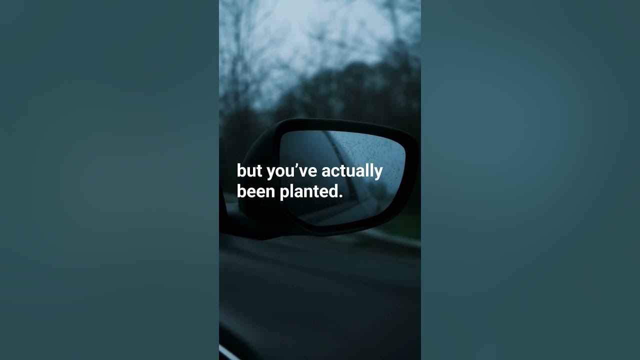 Quote of the day #867 - YouTube