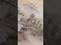 Красивые вещи из секонда.