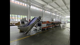 pistachios sorting line machine from VSEE Company