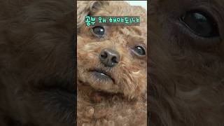 공부 왜 해야되냐