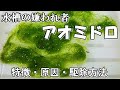 アオミドロ【水槽の嫌われ者】特徴・発生原因・駆除・発生させない方法