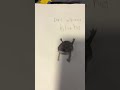 Fift spider-min enemy dark withering Blow hog