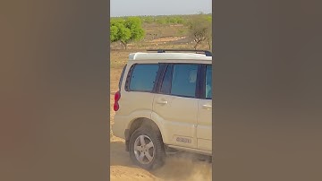 scropios11 lover Il new Mahindra Scorpio s11 ll modify #mahindra #scorpio #classic