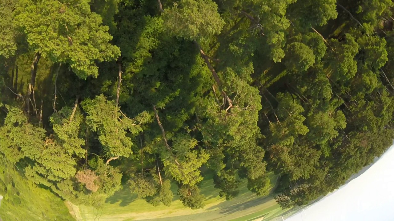 Dream Spot FPV Freestyle Forest