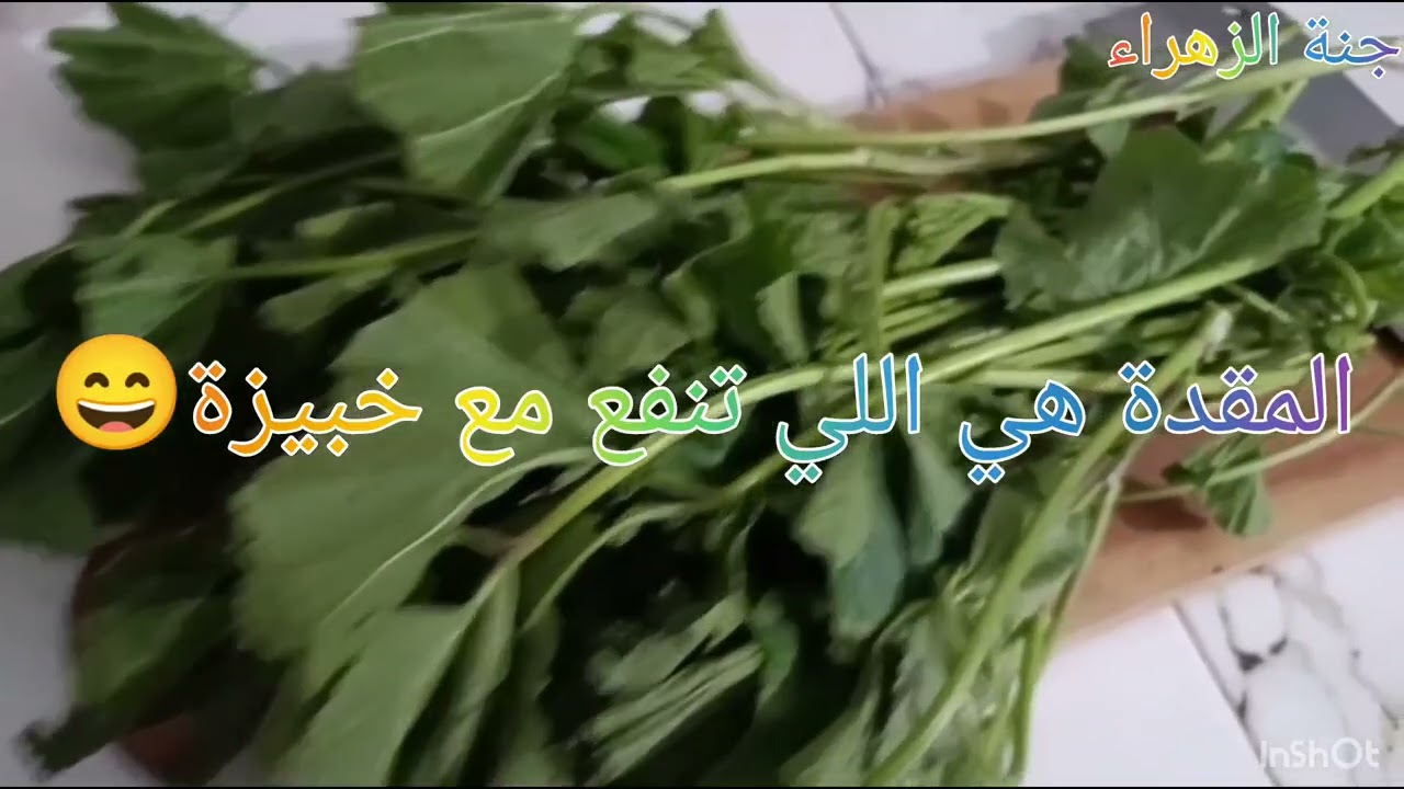 الخبيزة صحية في هذا البرد 🌿❤️