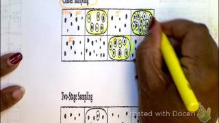 Stratified and Cluster Sampling