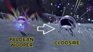 Paldean Wooper evolves to Clodsire // Pokemon Evolution