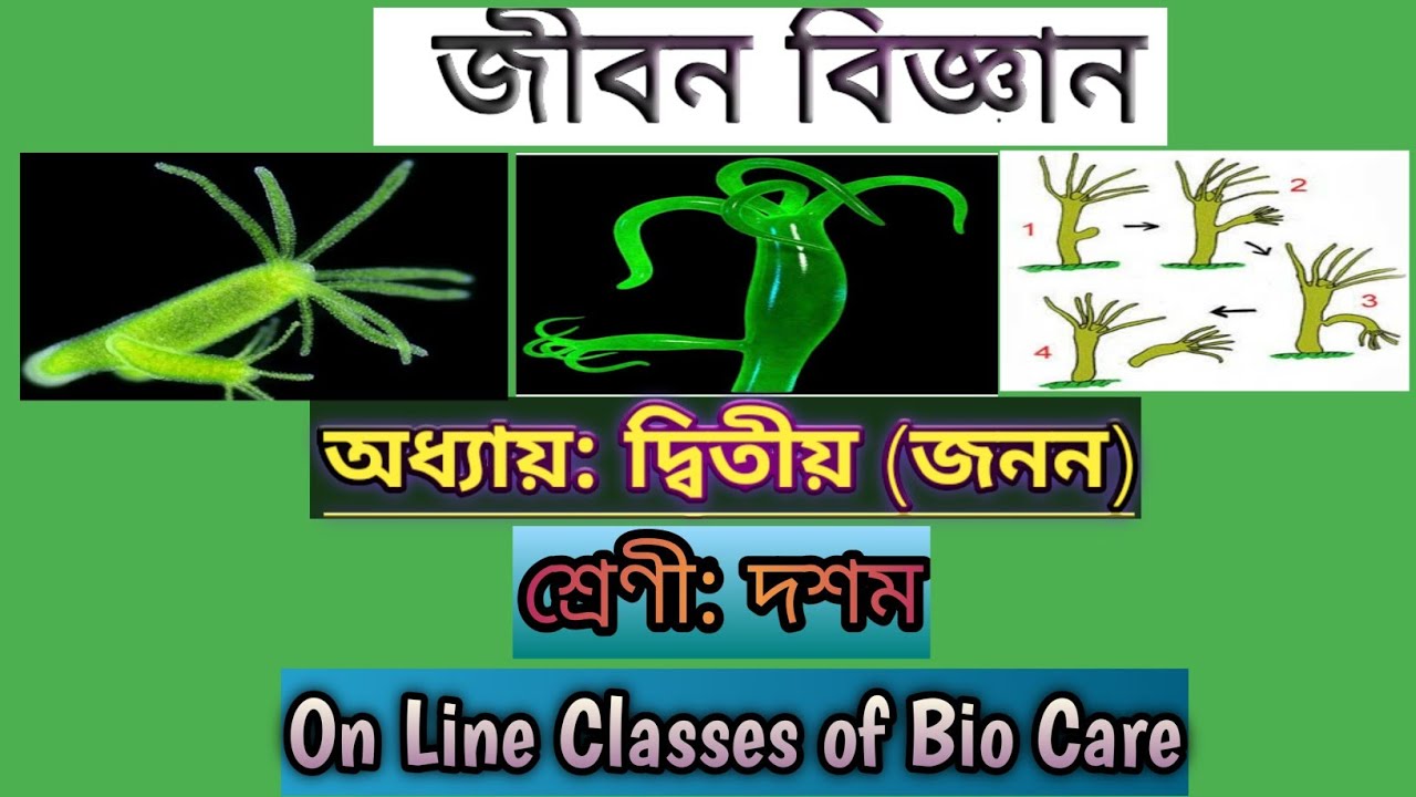 Reproduction Class Ten Life Science In Bengali 