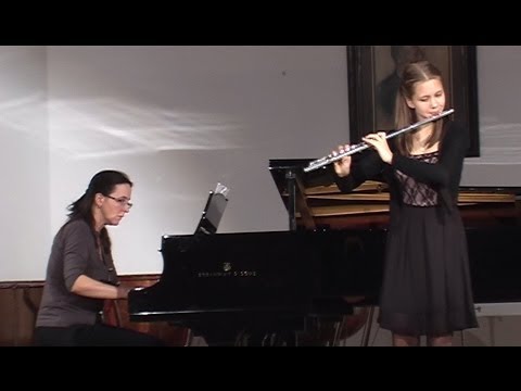 Saverio Mercadante Flute Concerto in e-minor