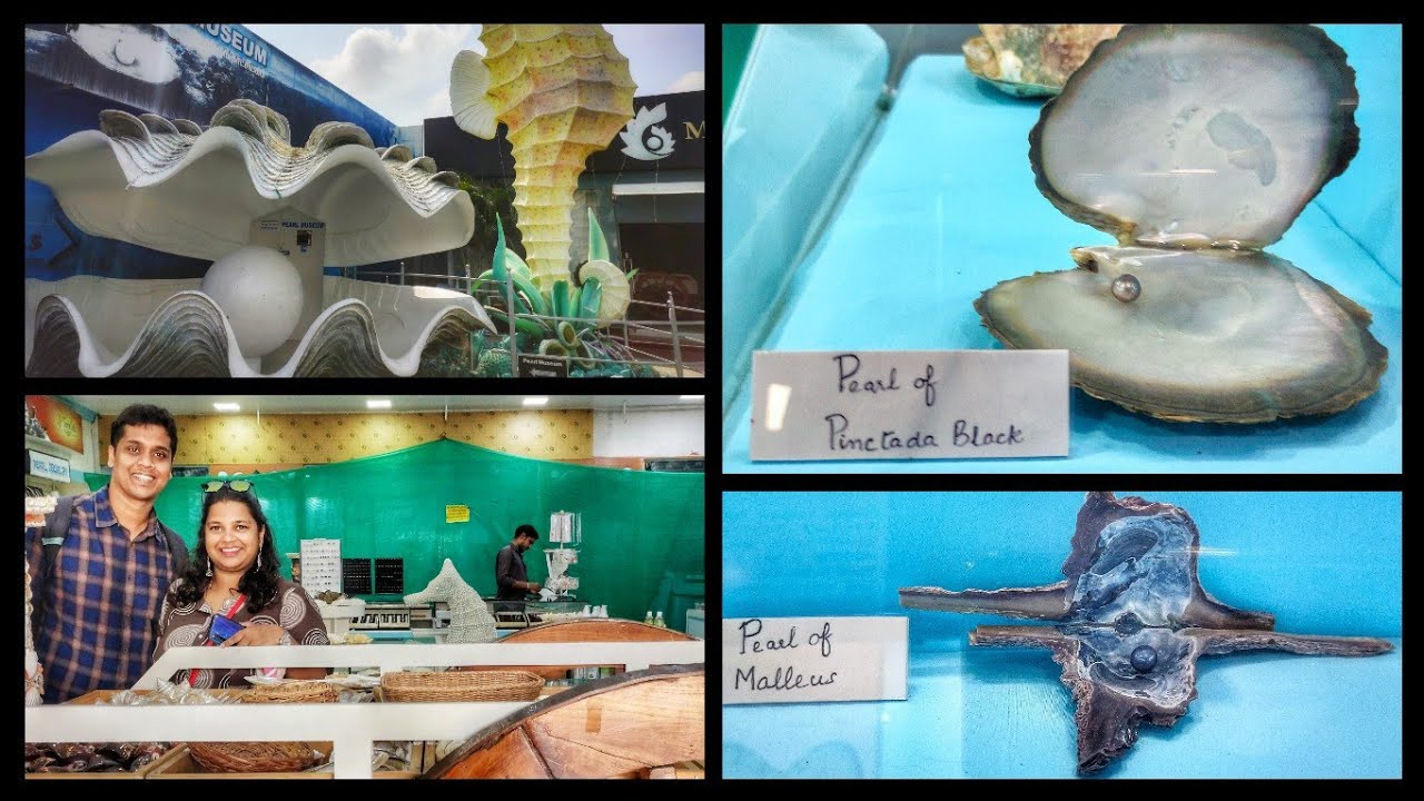 Pearl Museum - Chennai Mahabalipuram | Chennai Tourist Places | Best Place To Buy Pearls.