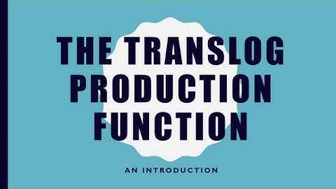 Translog Production Function: An Introduction