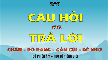 Câu hỏi và Trả lời sử dụng hàng ngày