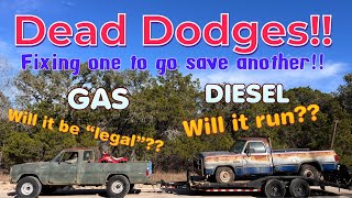 Dead Dodge Rescue! Fixing a truck to save a forgotten 1st Gen Cummins Diesel by TC Finds 7,534 views 2 months ago 44 minutes