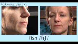 Voiceless Consonant Sound 08